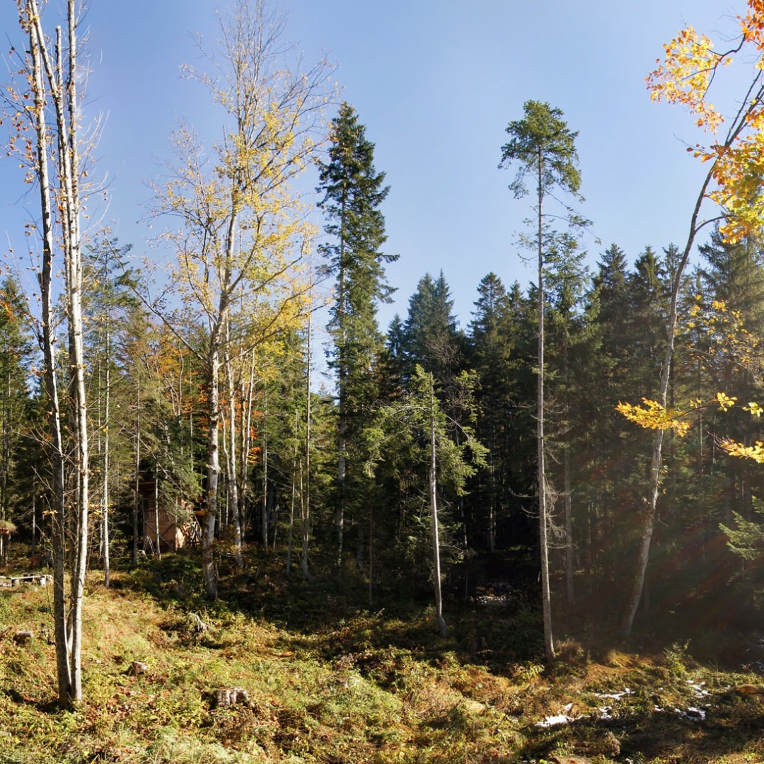 Du schenkst mit dem Survival Camp Gutschein... Wildniscamp Camp Yukon