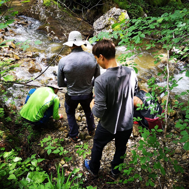 Bushcraft Kurse Österreich