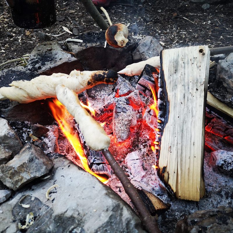 Bushcraft und Survival Kurs für EinsteigerInnen