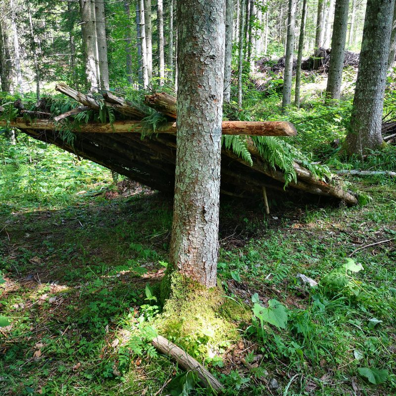 Survival Training Österreich