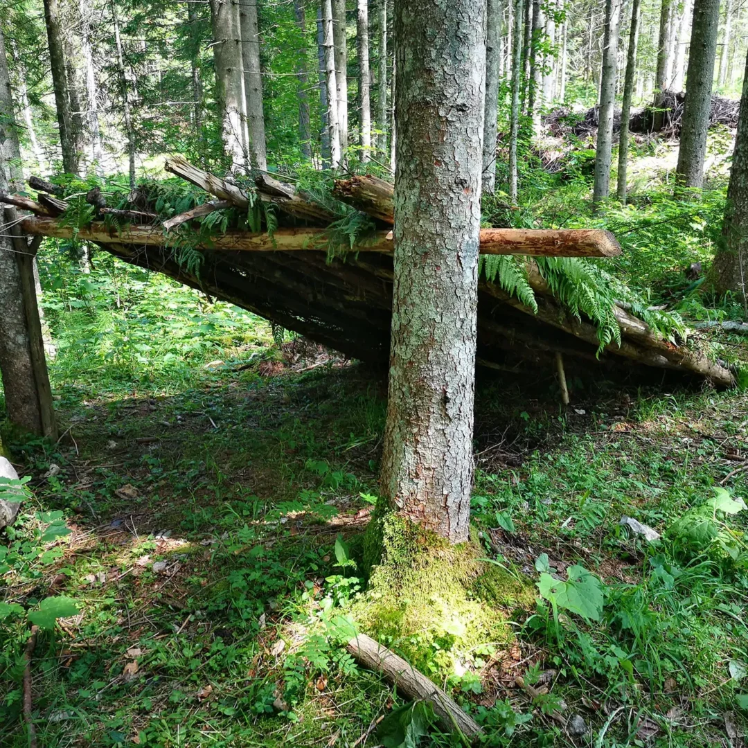 Outdoor Survival Trainings in Österreich: 